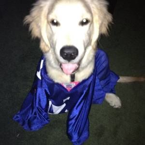 Meet your Posher, Digger